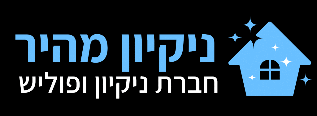 ניקיון מהיר