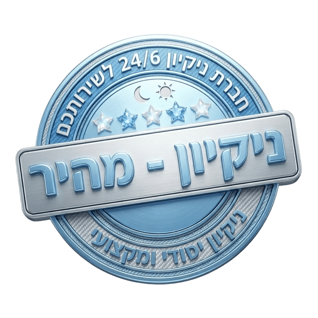 לוגו ניקיון מהיר 24/06
